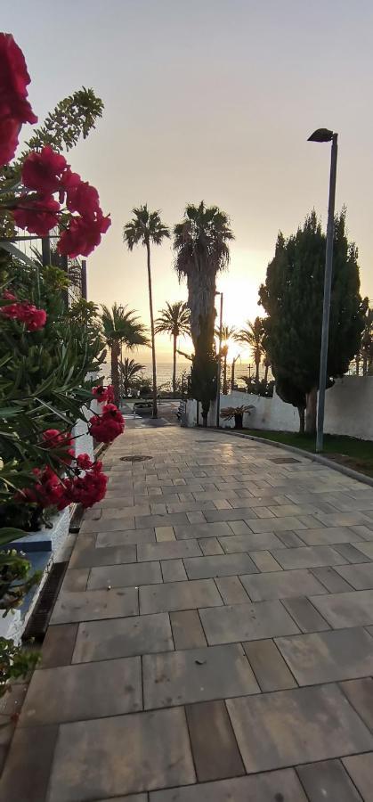 Apartamento Playa Las Americas Πλάγια ντε λας Αμέρικας Εξωτερικό φωτογραφία